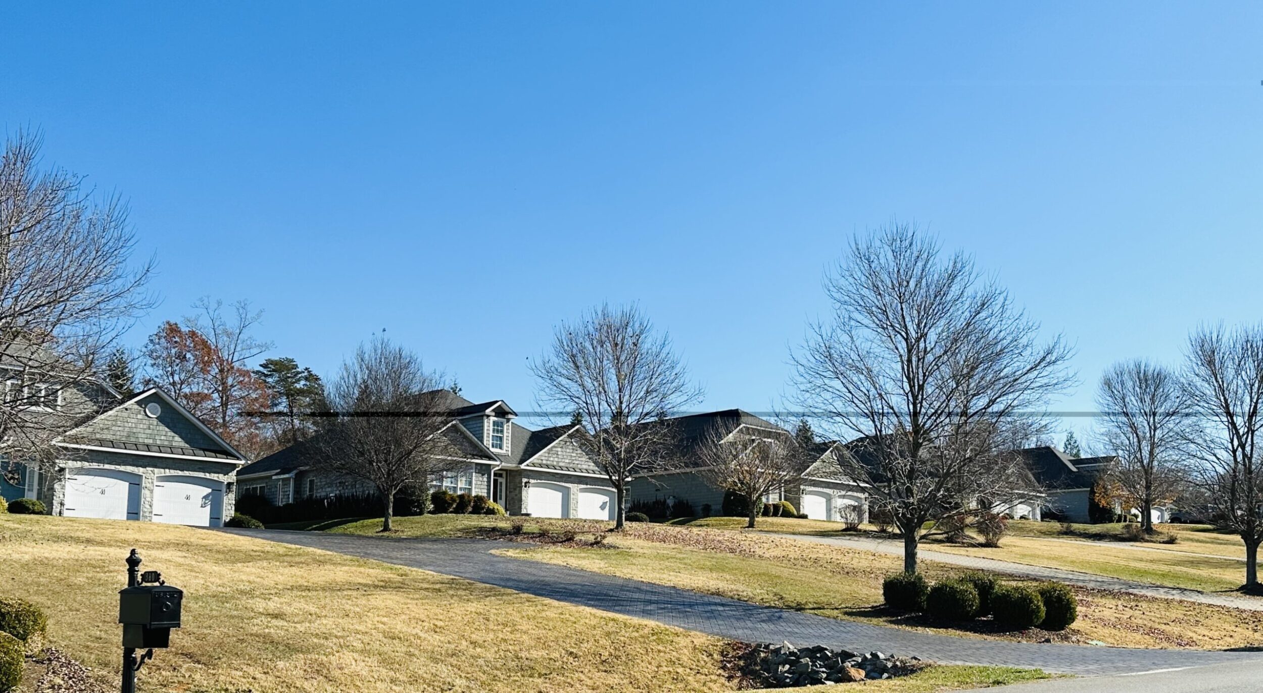 Suburban homes on a street. It is during the winter as there are no leaves on the trees, and the grass is brown.