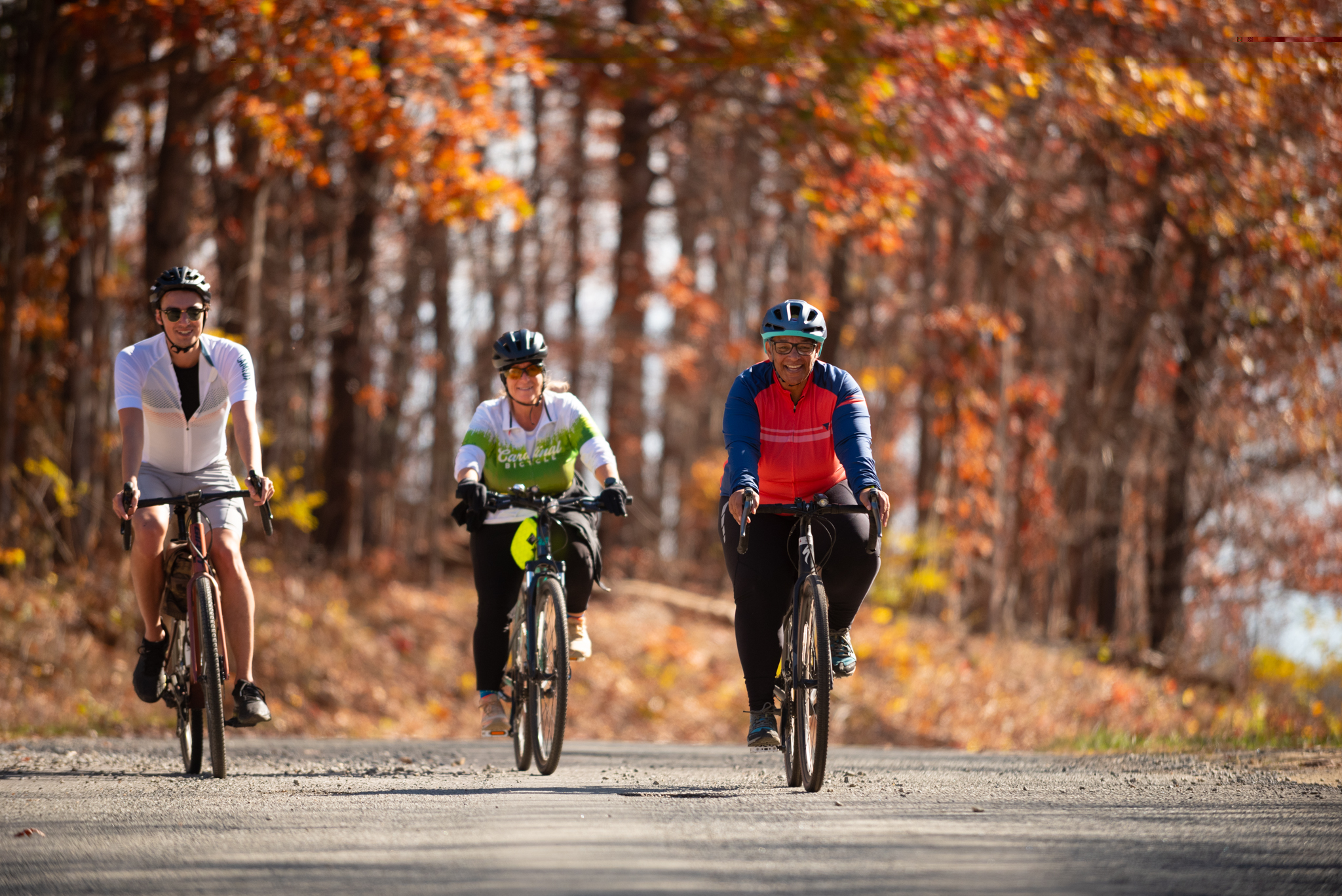 Three cyclists on bikes on a gravel road. They're surrounded by trees sporting autumn foliage.