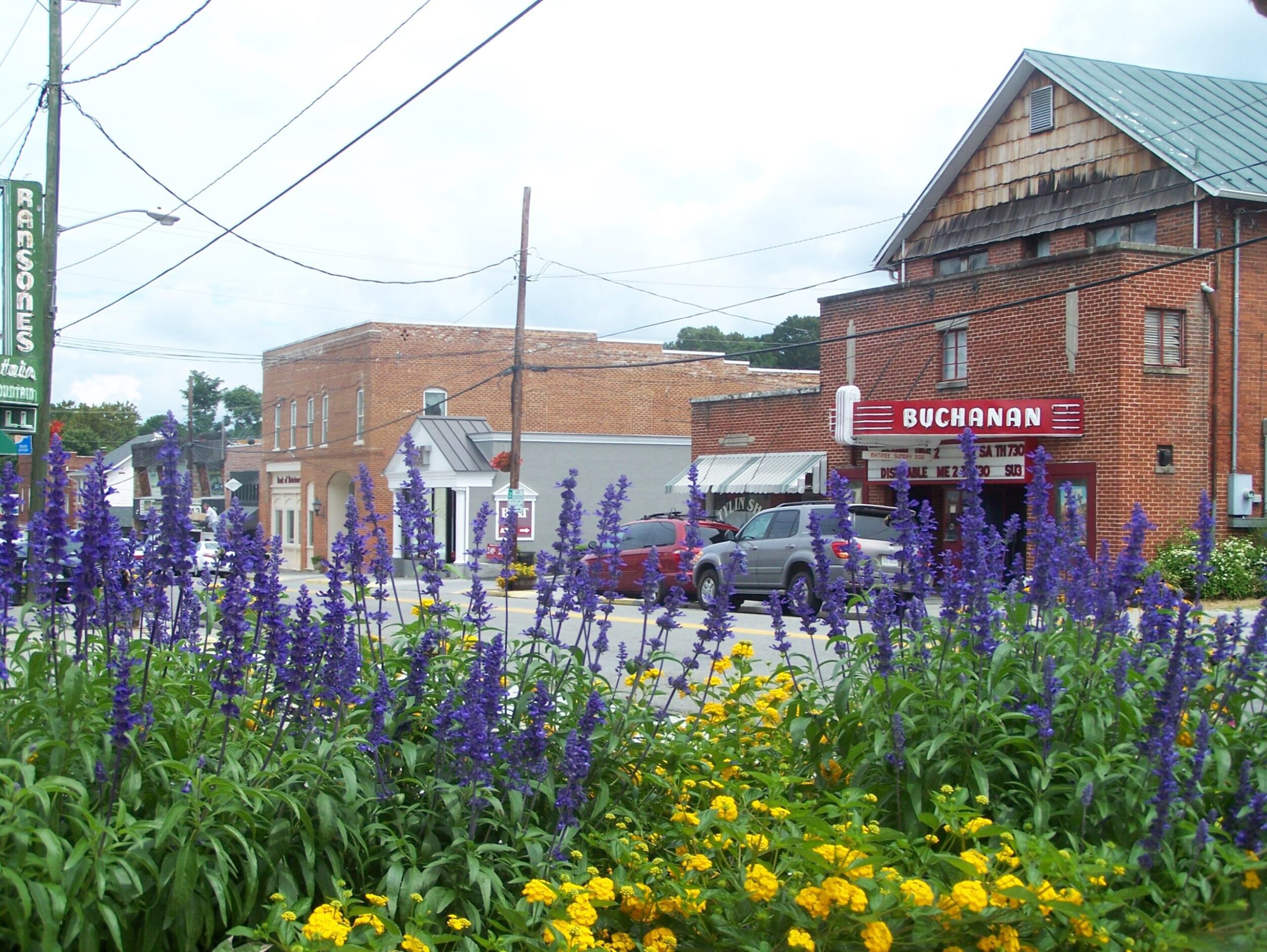 Main Street Buchanan in the background with purple and yellow flowers in the foreground. You can see a theater with a neon sign reading "Buchanan" and another neon sign reading "Ransones."