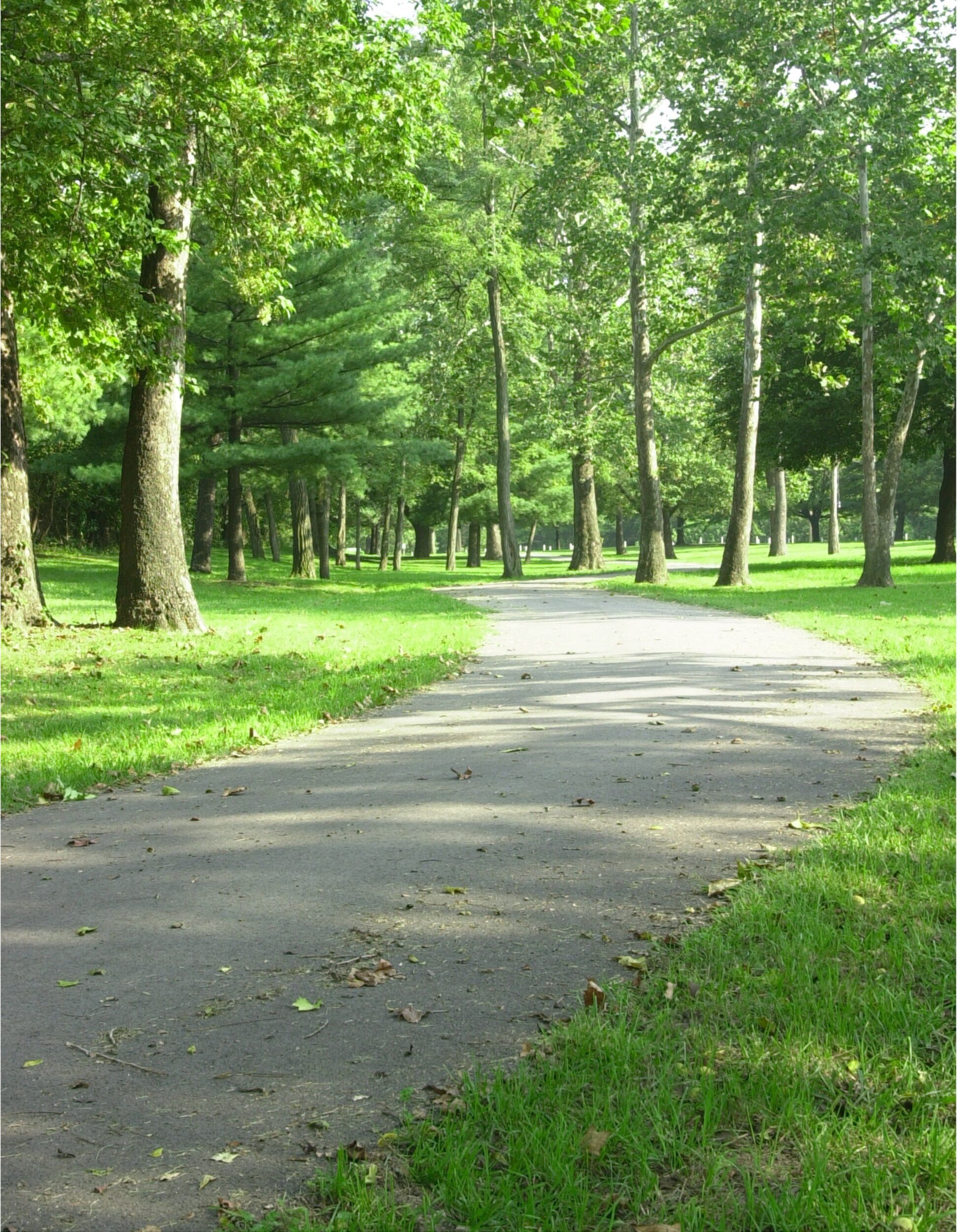 Paved greenway path weaves through the trees and is lined by green grass on a sunny day.