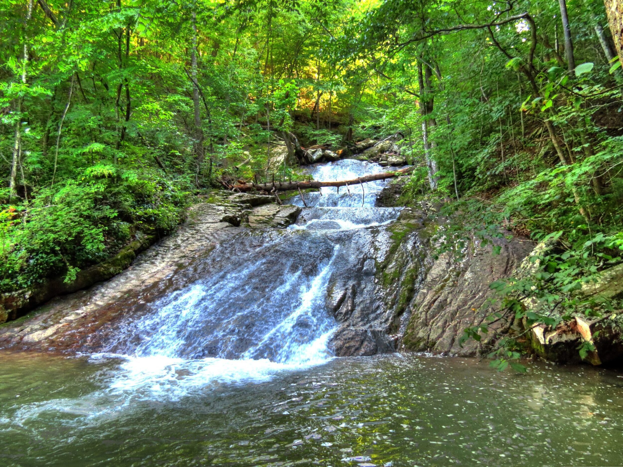 Roaring Run Creek in Botetourt County, VA. The falls are surrounded by lush, green forest.