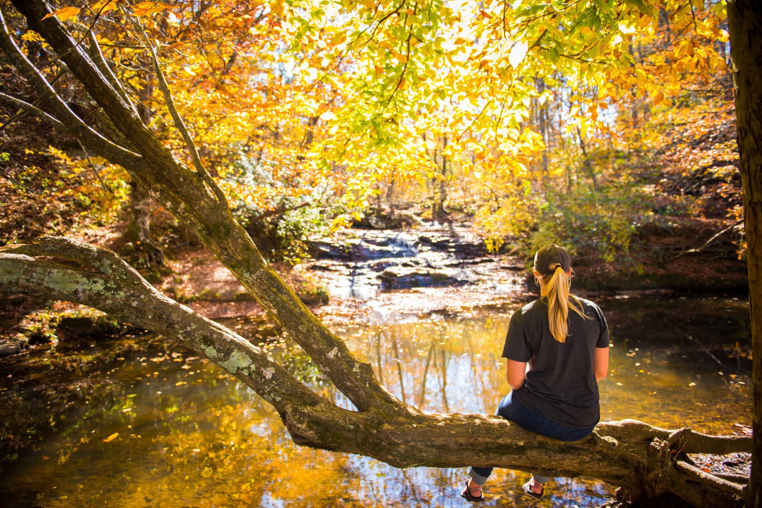 Woman sits on a branch that overhangs a creek. There are trees with yellow and green leaves flanking either side of the creek.