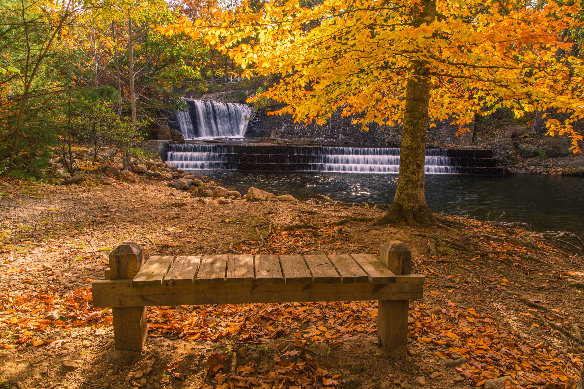 Beautiful waterfalls surrounded by yellow autumn leaves in Douthat State Park.