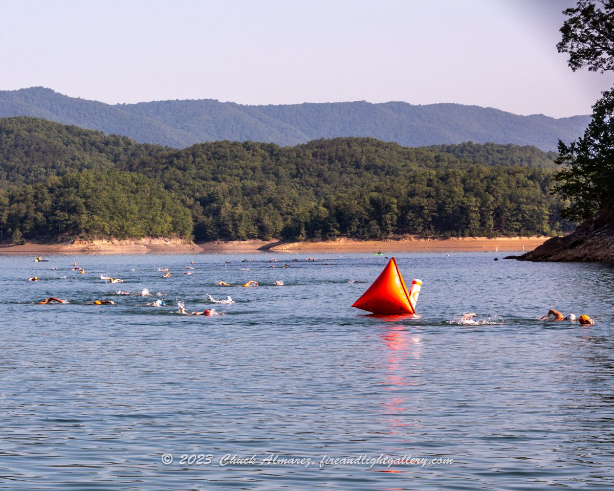 Swimmers take part in an open-water race in Lake Moomaw on a sunny day.