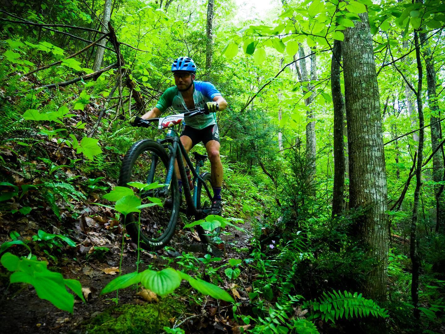 Cyclist in blue and green cycling gear bikes on a trail in a vibrantly green forest in Alleghany County, VA.